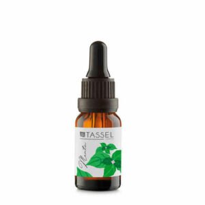 Essential oil Eurostil ESENCIAL MENTA Mint (15 ml)